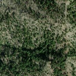 Satellite imagery of Big Buck Ridge, US