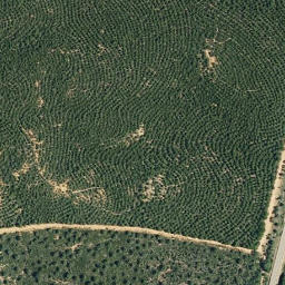 Satellite imagery of survey_point, ES