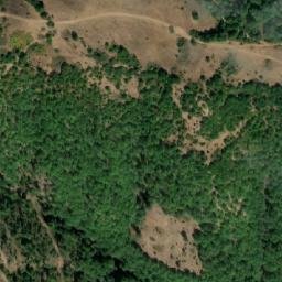 Satellite imagery of Prodanitsa, BG