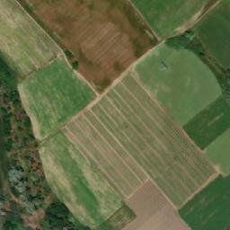 Satellite imagery of TT31/61/, TR