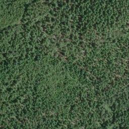 Satellite imagery of Morrell Placer Mine, US
