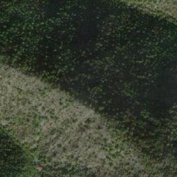 Satellite imagery of Ḱafa Mušaica, MK