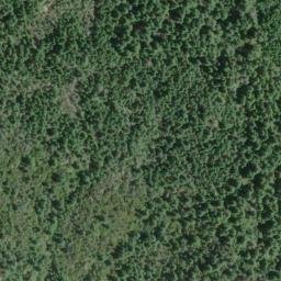 Satellite imagery of Morrell Placer Mine, US