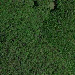 Satellite imagery of Oak Ridge, US
