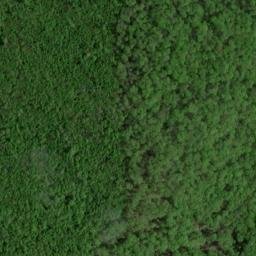 Satellite imagery of Oak Ridge, US