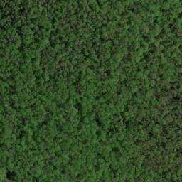 Satellite imagery of Oak Ridge, US