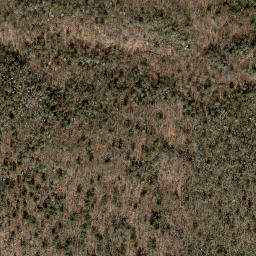 Satellite imagery of The Hogback, US
