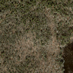 Satellite imagery of The Hogback, US