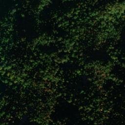 Satellite imagery of TT22, GR