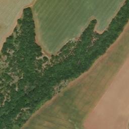 Satellite imagery of TT8/XXII/, TR