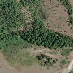 Satellite imagery of Williams Point, US