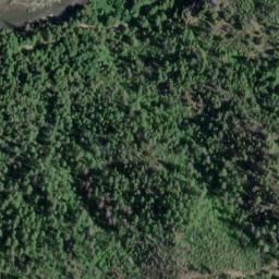 Satellite imagery of Williams Point, US