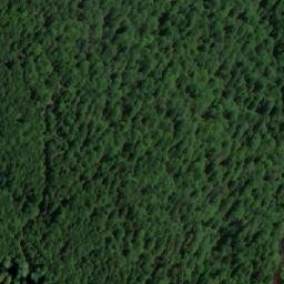 Satellite imagery of Gradište, MK