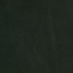 Satellite imagery of Crum Elbow Point, US
