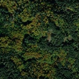 Satellite imagery of TT19, GR