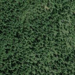Satellite imagery of Camp Eight Mine, US