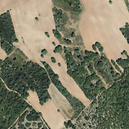 Satellite imagery of survey_point, PT
