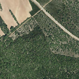 Satellite imagery of survey_point, PT