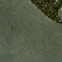Satellite imagery of Browns Point, US