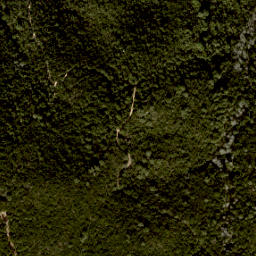 Satellite imagery of Puig de ses Cadiretes, ES