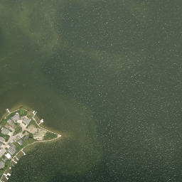 Satellite imagery of Browns Point, US