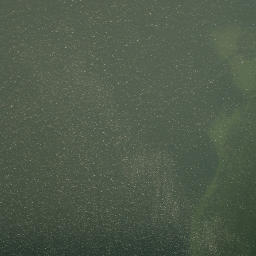 Satellite imagery of Browns Point, US