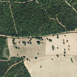 Satellite imagery of survey_point, PT
