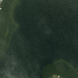 Satellite imagery of Browns Point, US