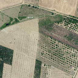 Satellite imagery of survey_point, PT