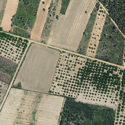 Satellite imagery of survey_point, PT