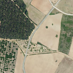 Satellite imagery of survey_point, PT