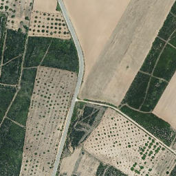 Satellite imagery of survey_point, PT
