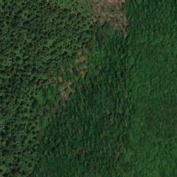 Satellite imagery of cippo di confine Colonna <> Rocca di Papa anno 1874, IT