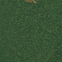 Satellite imagery of Great Neck, US