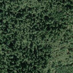Satellite imagery of Fox Ridge, US