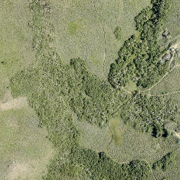 Satellite imagery of Adams Mine, US