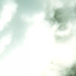 Satellite imagery of Napanoch Point, US