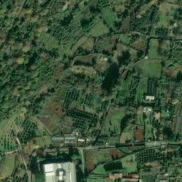 Satellite imagery of Colli Albani, IT