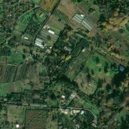 Satellite imagery of Colli Albani, IT