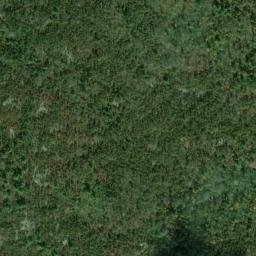 Satellite imagery of Napanoch Point, US