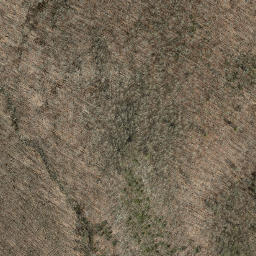 Satellite imagery of Pine Ledge, US