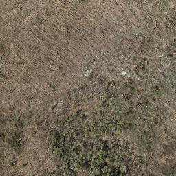 Satellite imagery of Pine Ledge, US