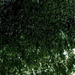 Satellite imagery of Kafova Bacha, BG