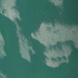 Satellite imagery of Fish Point, CA