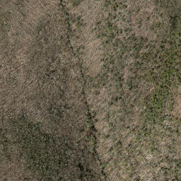 Satellite imagery of Pine Ledge, US