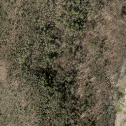 Satellite imagery of Pine Ledge, US