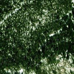 Satellite imagery of Kafova Bacha, BG