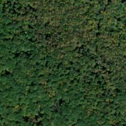 Satellite imagery of Colton Point, US