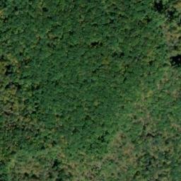 Satellite imagery of Colton Point, US