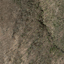 Satellite imagery of Pine Ledge, US